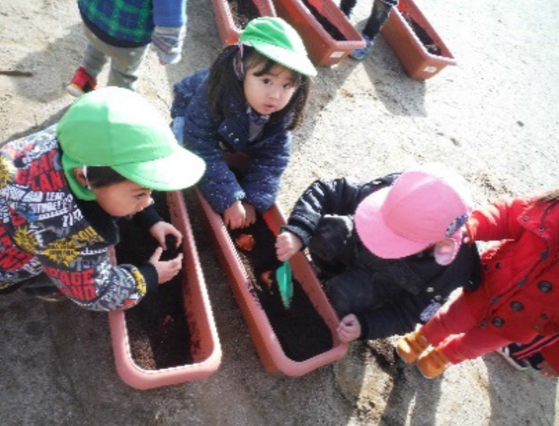 石巻ひがし保育園　球根植え